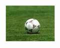 Leggi: Bucaro salva la panchina a Foggia. Troppi goal sbagliati dagli attaccanti rossoneri