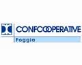 Leggi: Puglia, Turismi&Enkgastronomia, concluso il workshop di Confcooperative e Federcultura Puglia