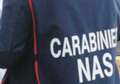 Leggi: 50 Anniversario dei Nas-Carabinieri, d'Ambrosio Lettieri (Commissione Igiene e Sanit Senato) ringrazia 