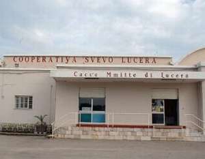 Cantina Cooperativa 'Svevo Lucera' in liquidazione 