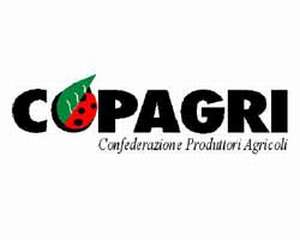 Copagri Foggia: 'Diga di Occhito mezza vuota. A rischio le prossime colture irrigue in Capitanata'