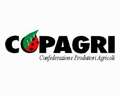 Leggi: Copagri Foggia: 'Diga di Occhito mezza vuota. A rischio le prossime colture irrigue in Capitanata'